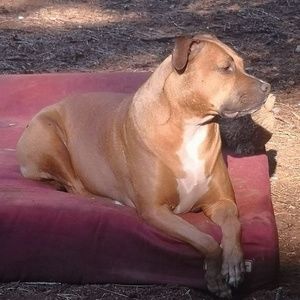 Meet your Posher, Bonnie